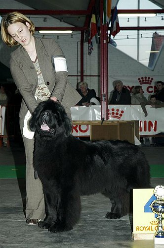 gal/Expo_janvier_2006/DSC_5573.jpg