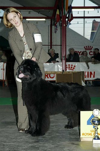 gal/Expo_janvier_2006/DSC_5574.jpg