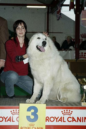 gal/Expo_janvier_2006/DSC_5576.jpg