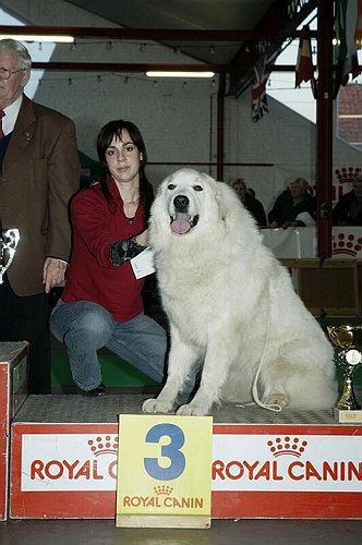 gal/Expo_janvier_2006/DSC_5577.jpg