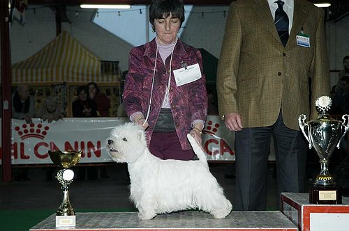 gal/Expo_janvier_2006/DSC_5596.jpg