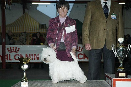 gal/Expo_janvier_2006/DSC_5597.jpg