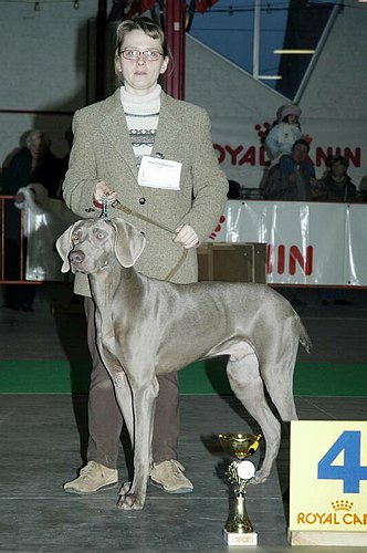 gal/Expo_janvier_2006/DSC_5624.jpg