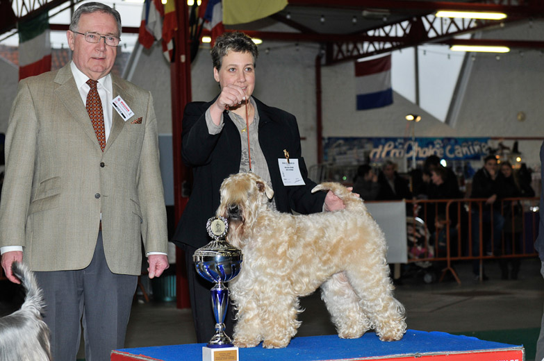 gal/Expo_janvier_2012/_KD36686.jpg