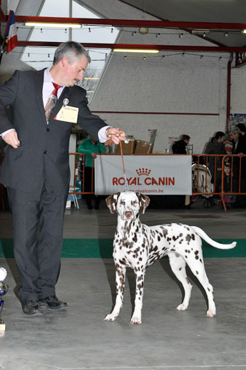 gal/Expo_janvier_2012/_KD36689.jpg