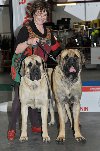 gal/Expo_janvier_2012/_KD36717.jpg