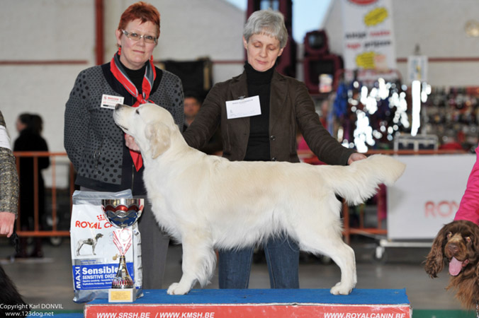 gal/Expo_janvier_2013/KDL_4016.jpg